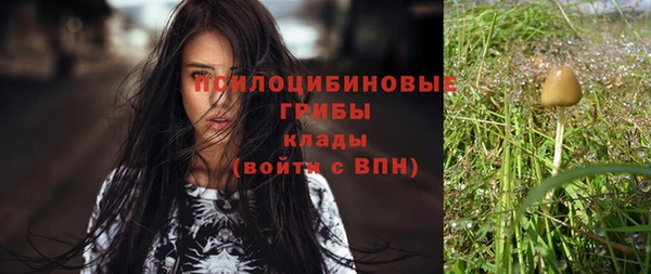 бошки Алексеевка
