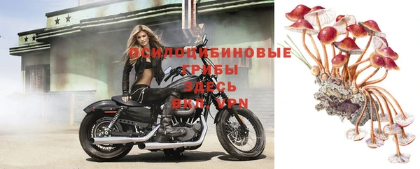 амф Алзамай